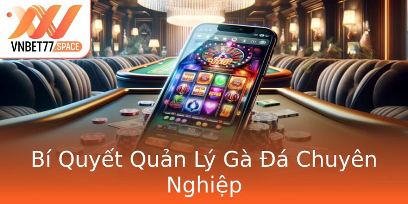 Bí Quyết Quản Lý Gà Đá Chuyên Nghiệp Bí Quyết Quản Lý Gà Đá Chuyên Nghiệp