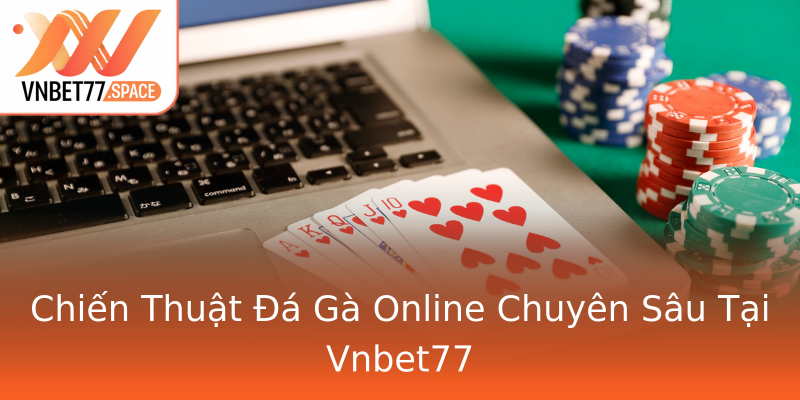 Chiến Thuật Đá Gà Online Chuyên Sâu Tại Vnbet77 Chiến Thuật Đá Gà Online Chuyên Sâu Tại Vnbet77