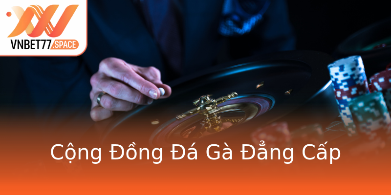 Cộng Đồng Đá Gà Đẳng Cấp Cộng Đồng Đá Gà Đẳng Cấp
