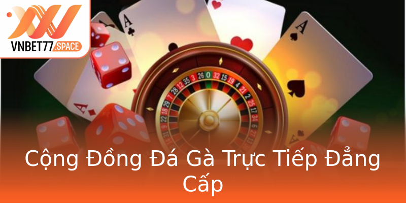 Cộng Đồng Đá Gà Trực Tiếp Đẳng Cấp Cộng Đồng Đá Gà Trực Tiếp Đẳng Cấp