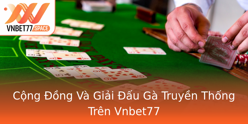 Cộng Đồng Và Giải Đấu Gà Truyền Thống Trên Vnbet77 Cộng Đồng Và Giải Đấu Gà Truyền Thống Trên Vnbet77