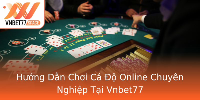 Hướng Dẫn Chơi Cá Độ Online Chuyên Nghiệp Tại Vnbet77 Hướng Dẫn Chơi Cá Độ Online Chuyên Nghiệp Tại Vnbet77