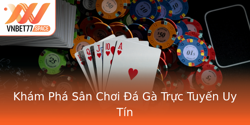 Khám Phá Sân Chơi Đá Gà Trực Tuyến Uy Tín Khám Phá Sân Chơi Đá Gà Trực Tuyến Uy Tín