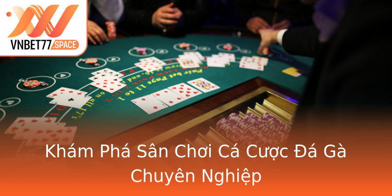 Khám Phá Sân Chơi Cá Cược Đá Gà Chuyên Nghiệp Khám Phá Sân Chơi Cá Cược Đá Gà Chuyên Nghiệp