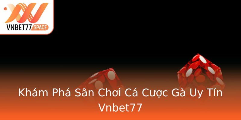 Khám Phá Sân Chơi Cá Cược Gà Uy Tín Vnbet77 Khám Phá Sân Chơi Cá Cược Gà Uy Tín Vnbet77