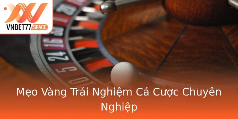 Mẹo Vàng Trải Nghiệm Cá Cược Chuyên Nghiệp Mẹo Vàng Trải Nghiệm Cá Cược Chuyên Nghiệp