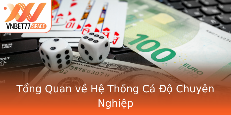Tổng Quan về Hệ Thống Cá Độ Chuyên Nghiệp Tổng Quan về Hệ Thống Cá Độ Chuyên Nghiệp