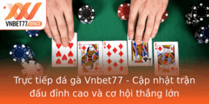 Truc Tiep A Ga Vnbet77 Cap Nhat Tran Au Inh Cao Va Co Hoi Thang Lon