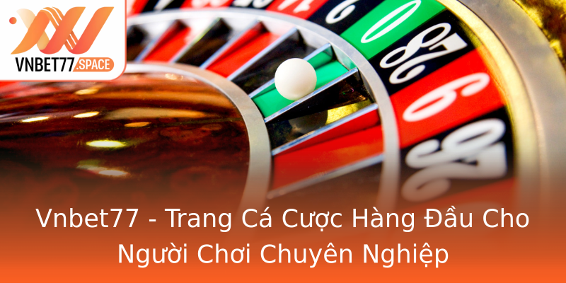 Vnbet77 - Trang Cá Cược Hàng Đầu Cho Người Chơi Chuyên Nghiệp Vnbet77 - Trang Cá Cược Hàng Đầu Cho Người Chơi Chuyên Nghiệp